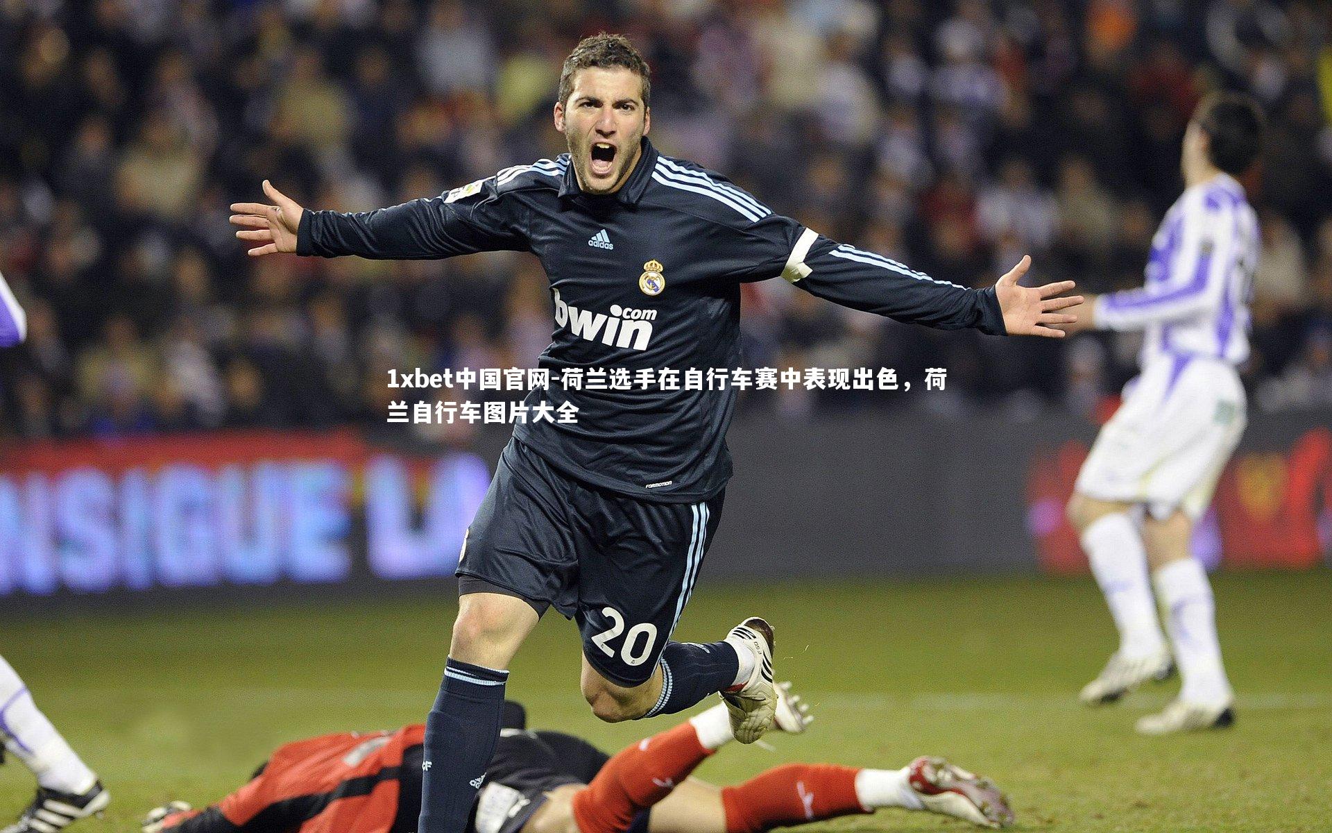1xbet中国官网-荷兰选手在自行车赛中表现出色，荷兰自行车图片大全
